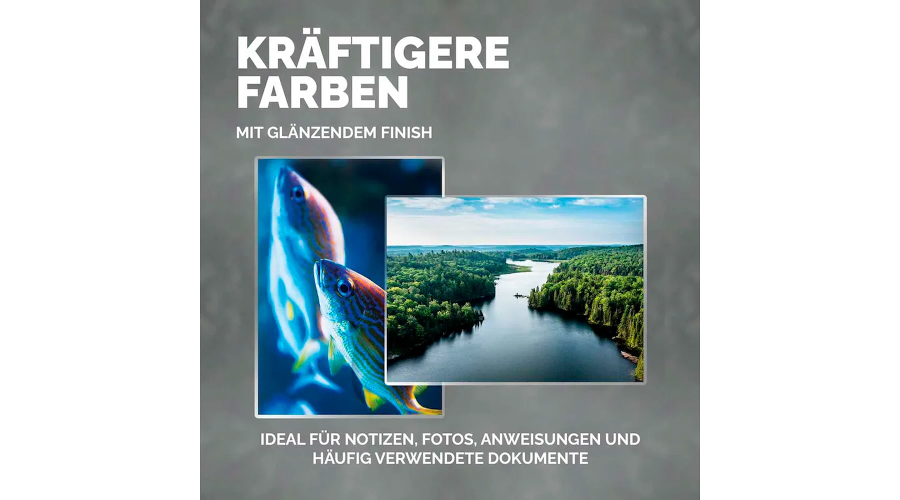 FELLOWES® Laminierfolie Apex DIN A4 125 µm glänzend 100 Stück/Pack transparent